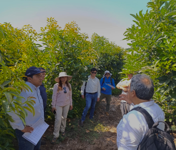 Curso de Nutrición en Cultivos de Mango